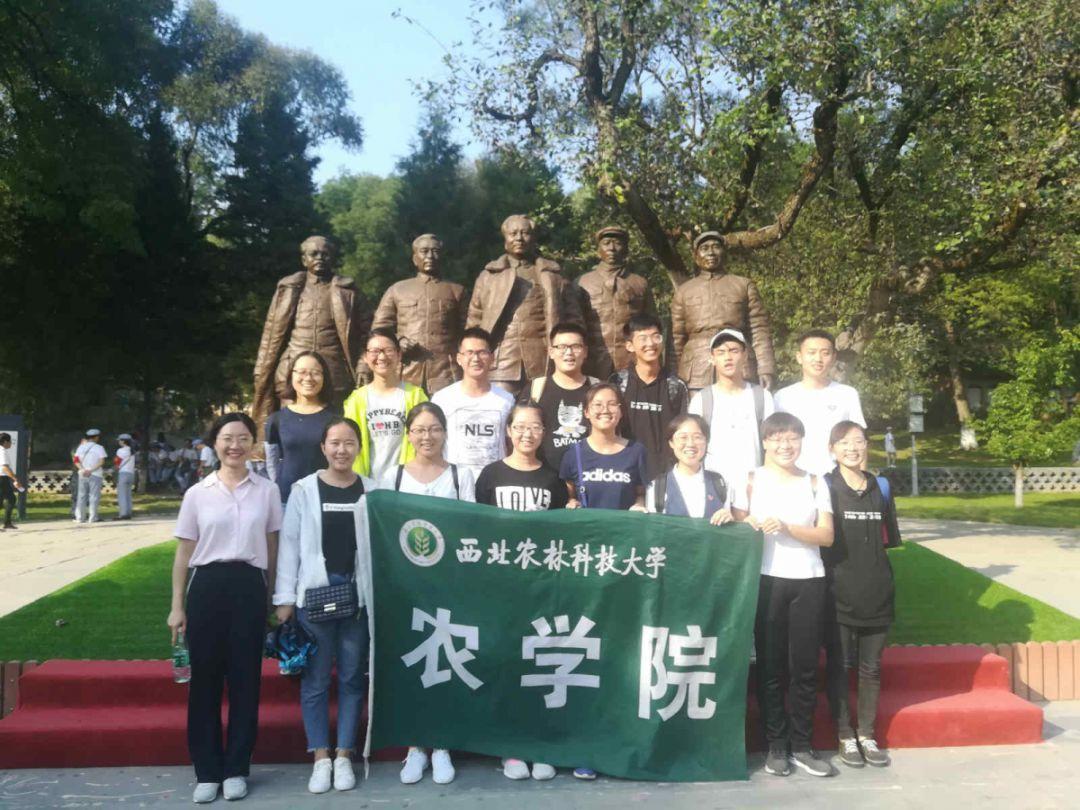 小小兵团